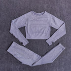 Seamless Yoga Set with Crop Top & Leggings