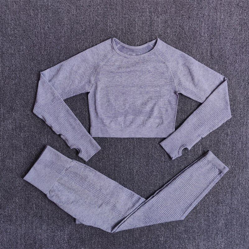 Seamless Yoga Set with Crop Top & Leggings