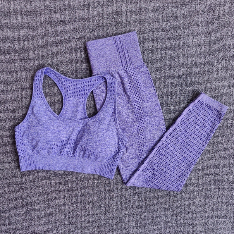 Seamless Yoga Set with Crop Top & Leggings