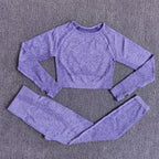 Seamless Yoga Set with Crop Top & Leggings