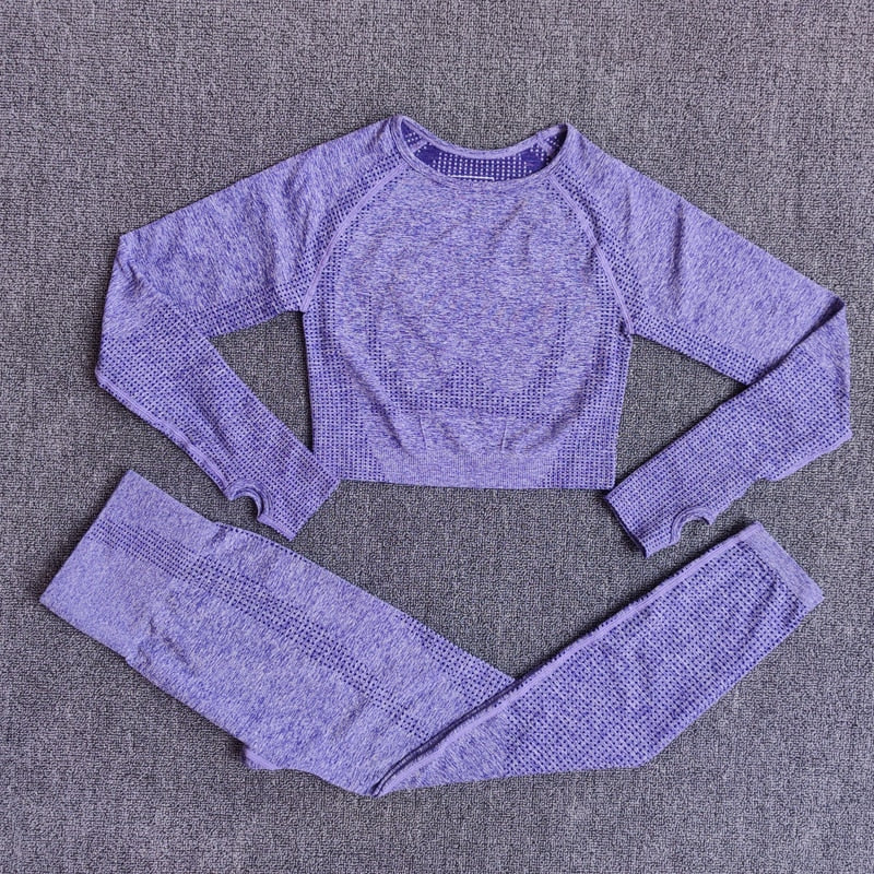 Seamless Yoga Set with Crop Top & Leggings