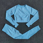 Seamless Yoga Set with Crop Top & Leggings