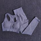 Seamless Yoga Set with Crop Top & Leggings