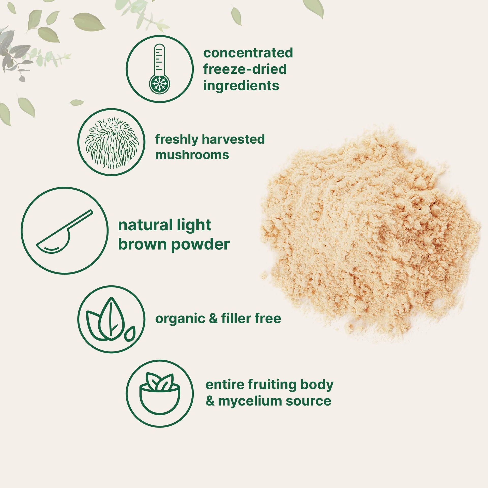 Lion mane mushroom powder Monkey head mushroom powder