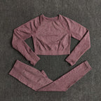 Seamless Yoga Set with Crop Top & Leggings