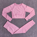 Seamless Yoga Set with Crop Top & Leggings