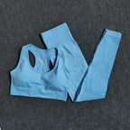 Seamless Yoga Set with Crop Top & Leggings